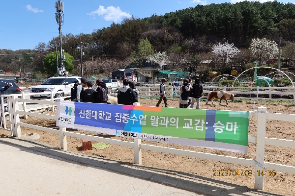 2023학년도 1학기 집중수업 「말과의 교감: 승마」 수업 운영 사진 대표이미지