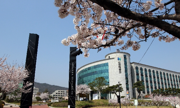 [OBS뉴스]교수실 앞 "행복해?" 문구…심사표 확인해보니 대표이미지